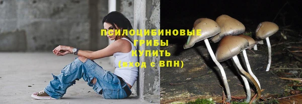 МДПВ Краснослободск