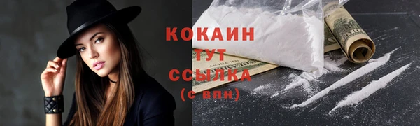 МДПВ Краснослободск
