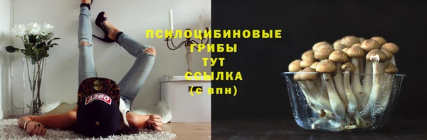 МДПВ Краснослободск
