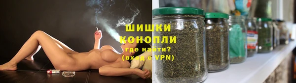 МДПВ Краснослободск