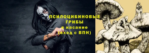 МДПВ Краснослободск