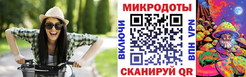 Галлюциногенные грибы Psilocybe  Купить где  Реутов 